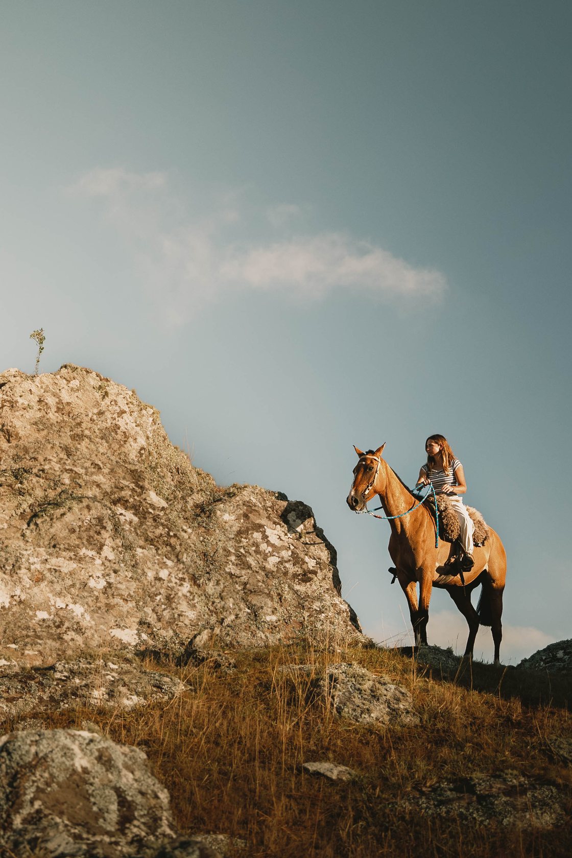 Rider on a white horse at golden hour, Uruguay