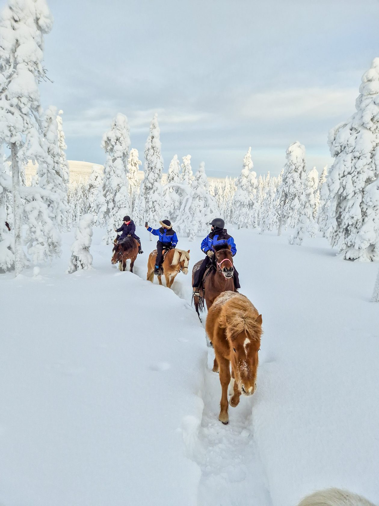 Riders through the snow forest, Lapland