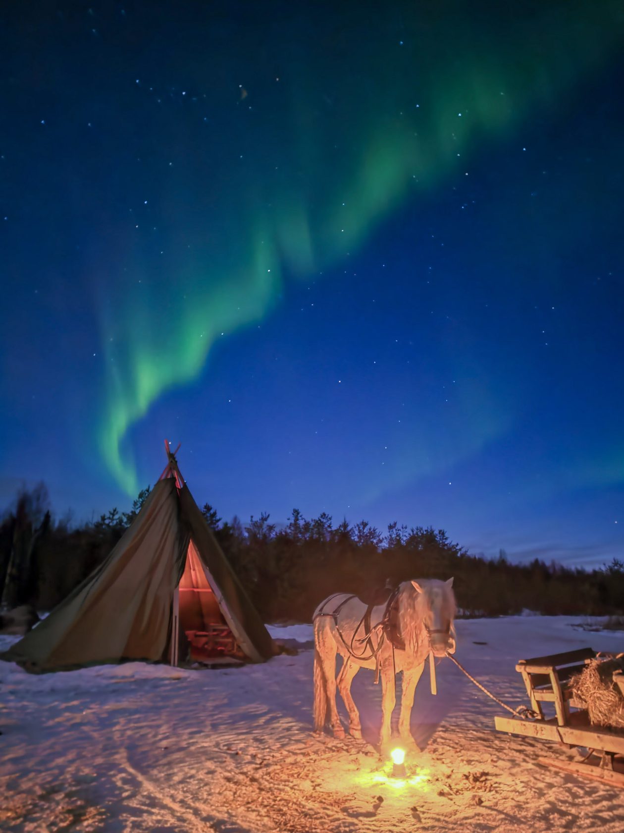 Aurora over the kota and horses, Lapland