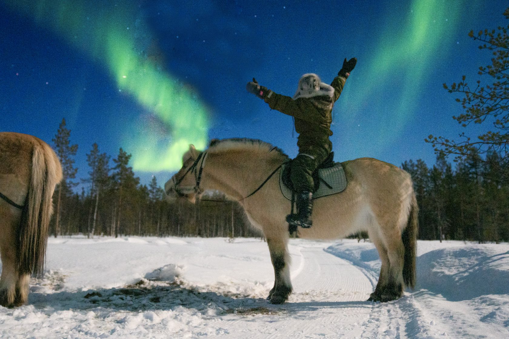 Rider beneath the northern lights, Lapland
