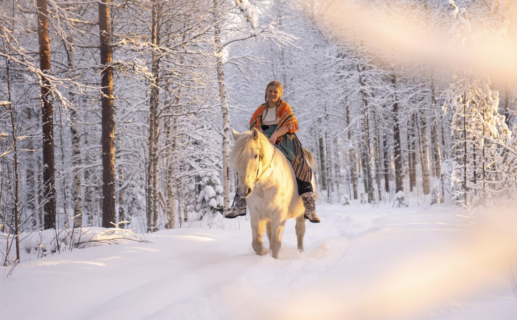 Rider in golden winter light, Lapland