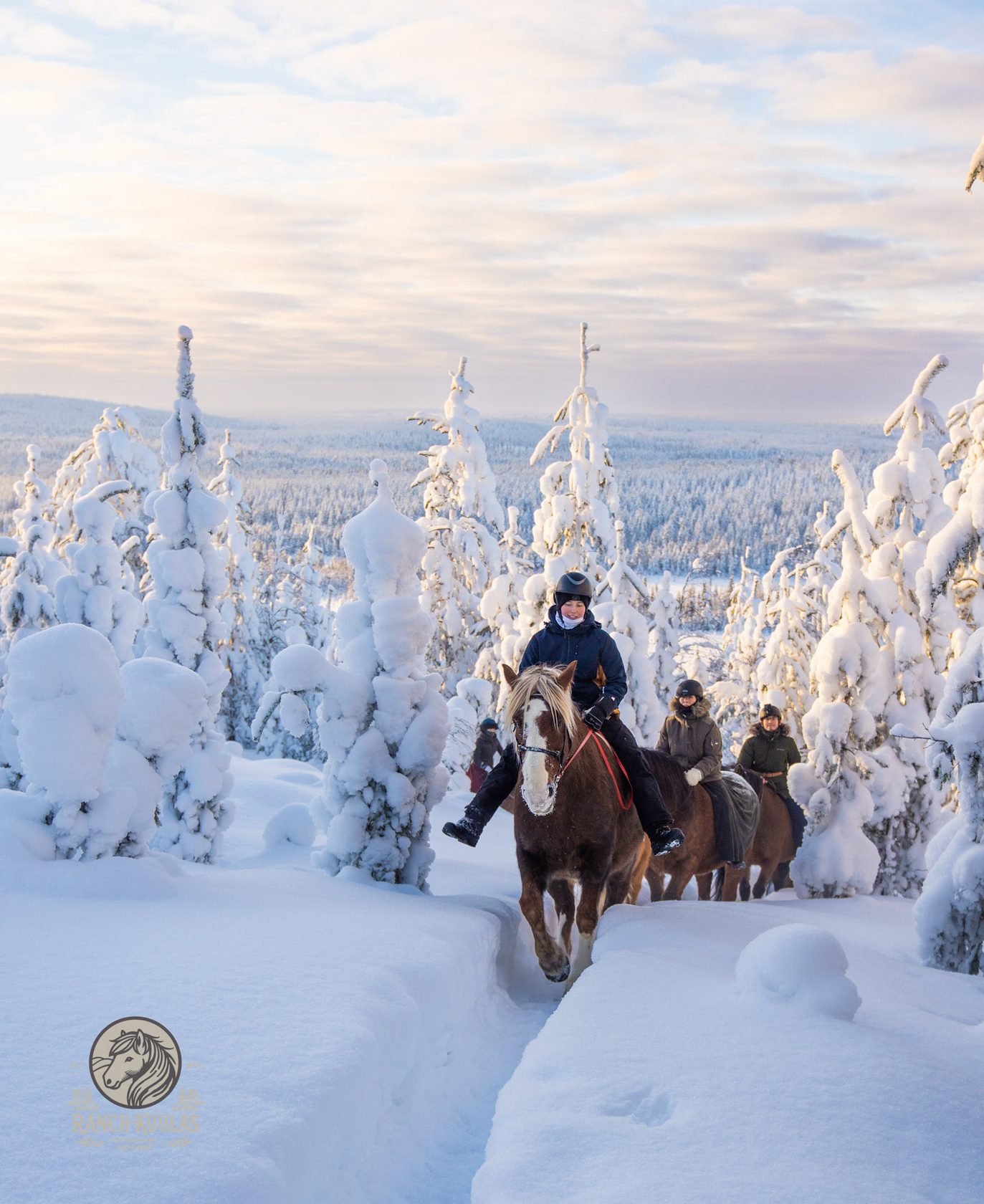 Finnhorse in the winter landscape, Lapland