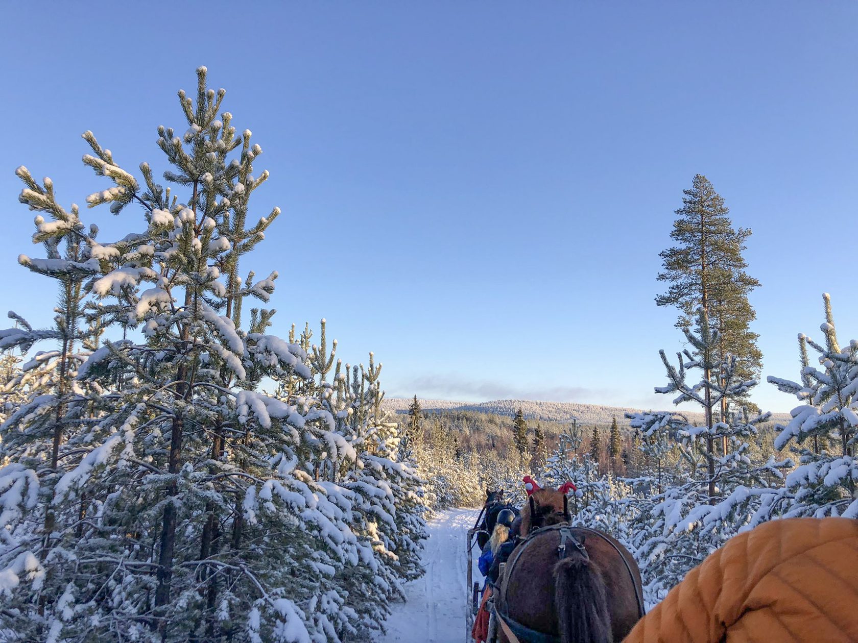 Looking out over the Arctic, Lapland