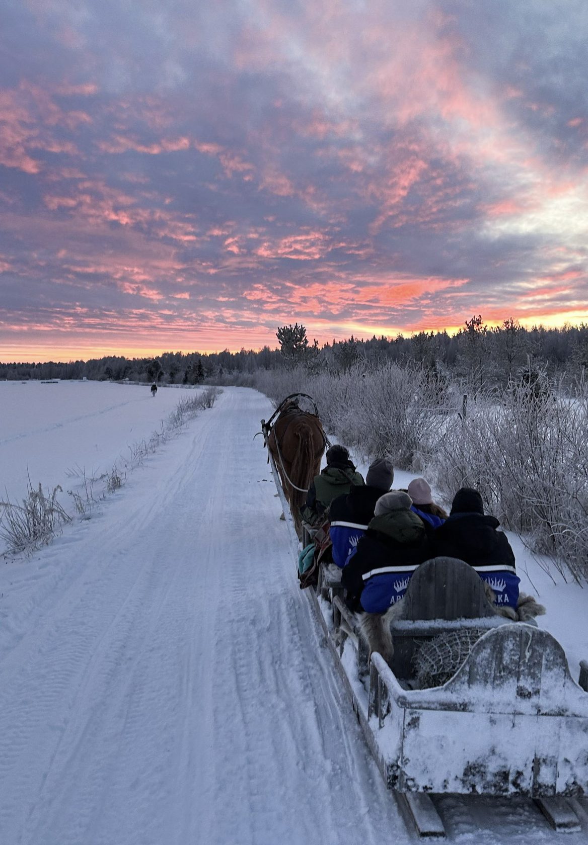 Sleigh ride at pink sunset, Lapland