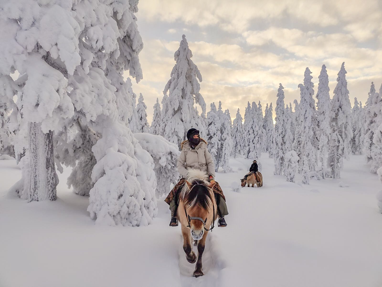 Riding deeper into the snow forest, Lapland