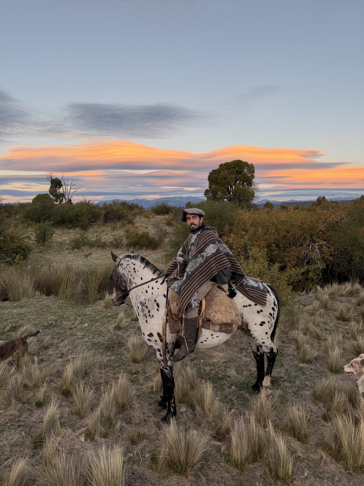 Gaucho riding through the steppe, Patagonia