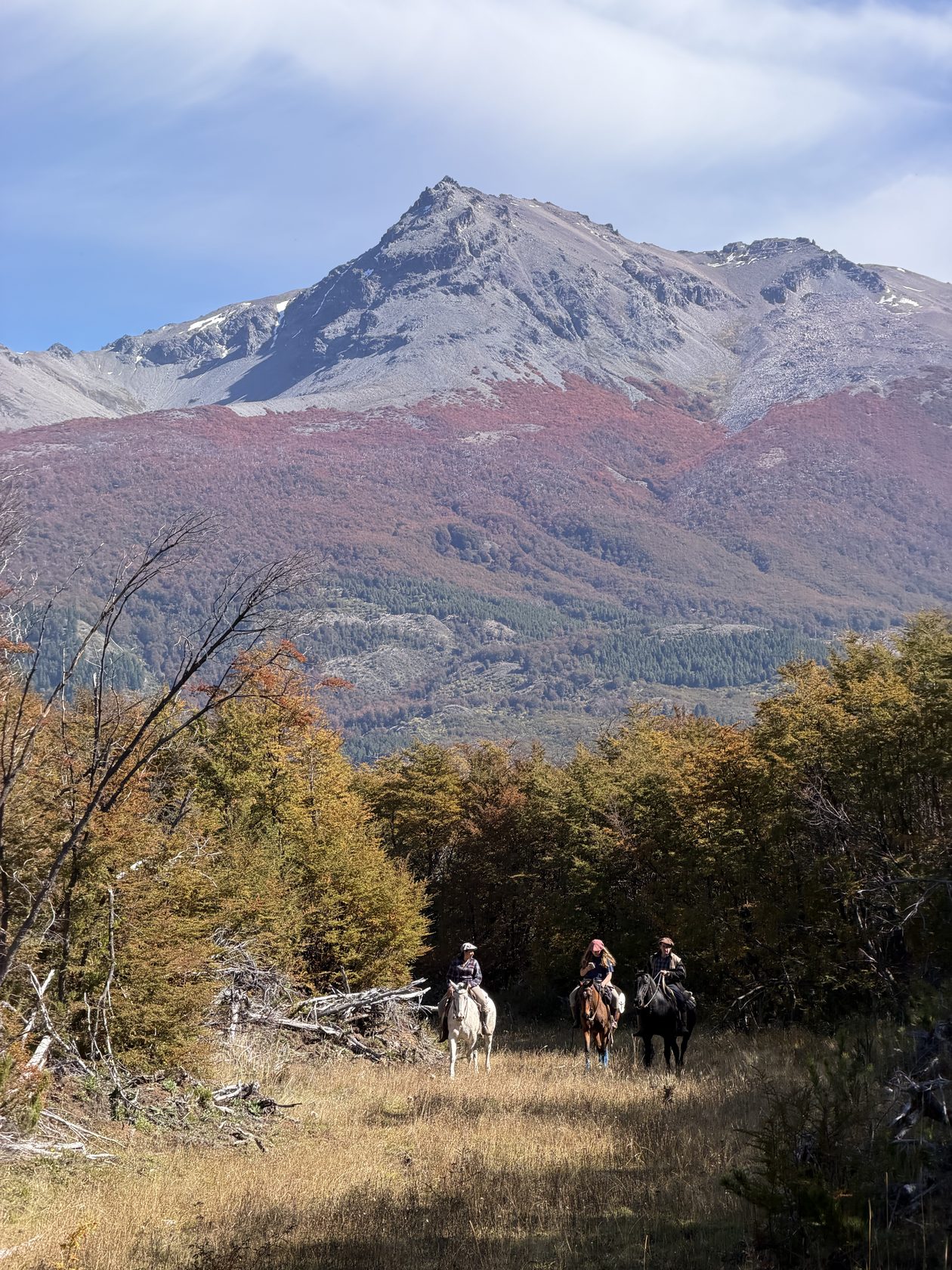 Snow peaks of the Cordillera, Patagonia